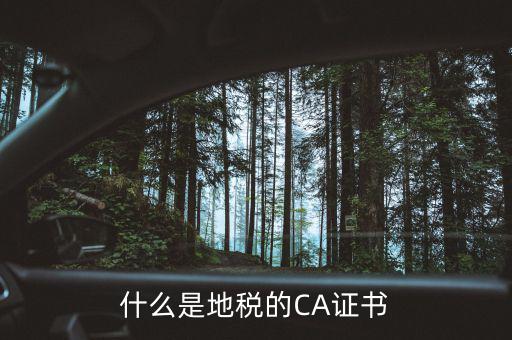 什么叫地稅CA用戶，什么是CA用戶