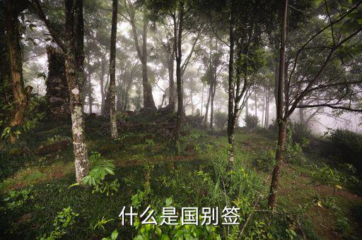 什么是國別報(bào)送條件，國別是什么意思