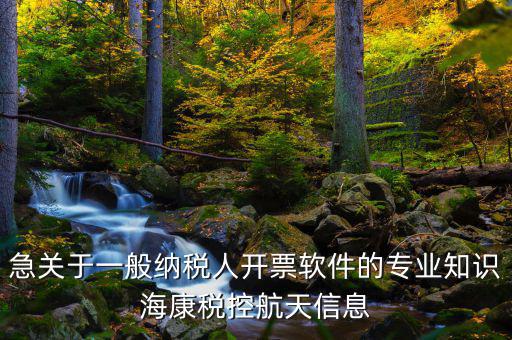 急關(guān)于一般納稅人開票軟件的專業(yè)知識?？刀惪睾教煨畔? class=
