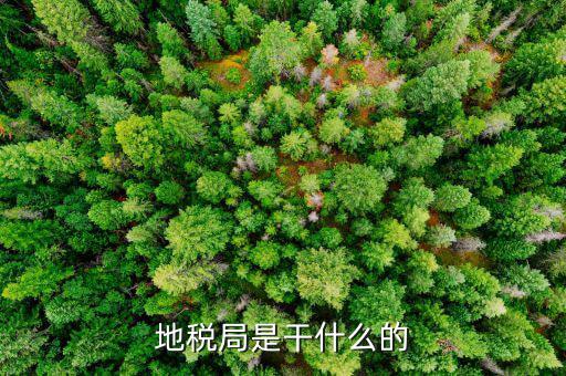 地稅主要負(fù)責(zé)什么工作總結(jié)，地稅局一般做什么工作啊
