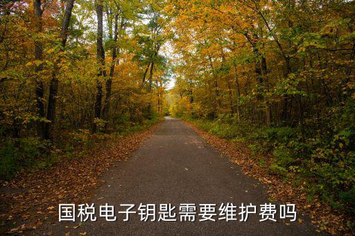 辦稅鑰匙是什么意思，網(wǎng)上報稅請插入電子令牌是什么意思