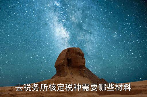 國(guó)稅票種核定需要什么，哪些情況下要進(jìn)行國(guó)稅票種核定