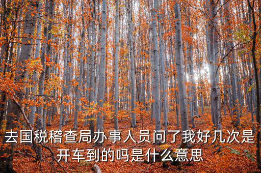 國(guó)稅說(shuō)需要運(yùn)維是什么意思，什么條件需要辦理國(guó)稅我是一個(gè)月收入2千左右的維修小檔口也要輸