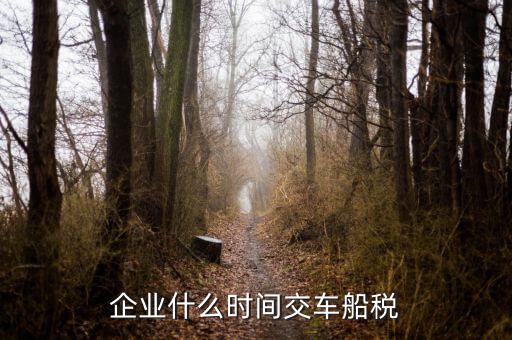 什么時(shí)候申報(bào)車船稅，車船稅應(yīng)當(dāng)在什么時(shí)候申報(bào)繳納 承德