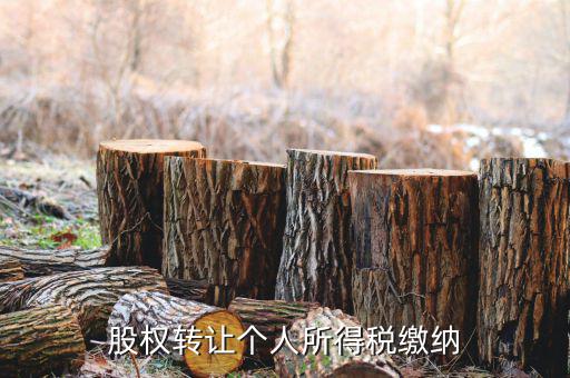 股權(quán)轉(zhuǎn)讓如何繳納個(gè)稅，個(gè)人股權(quán)轉(zhuǎn)讓如何納稅