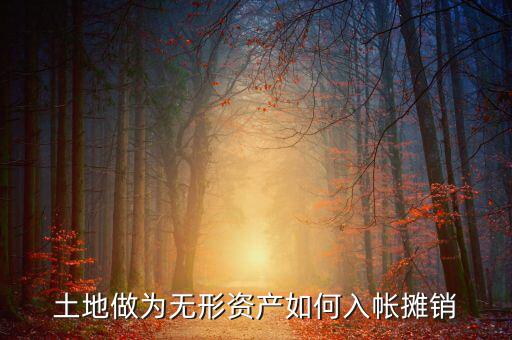 土地如何攤銷，土地做為無形資產(chǎn)如何入帳攤銷