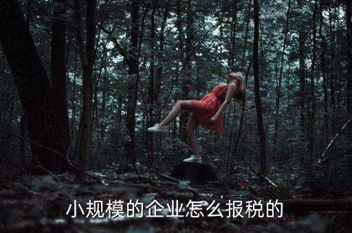 小規(guī)模納稅人如何申報(bào)，小規(guī)模增值稅申報(bào)流程