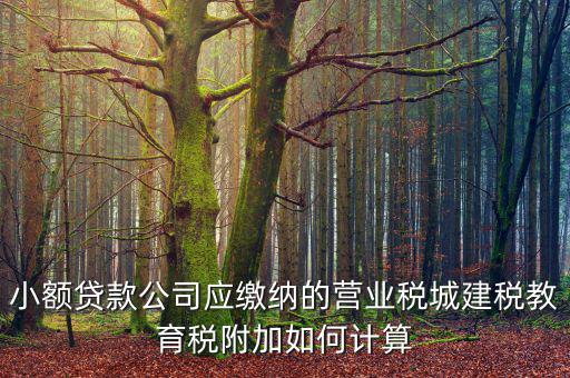 小額貸款公司如何繳稅，小額貸款公司的營業(yè)稅怎么算 sitewenwensosocom