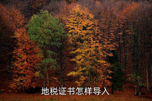 如何安裝深圳地稅證書，地稅證書怎樣導入