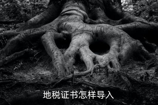 如何導(dǎo)入地稅證書，地稅證書怎樣導(dǎo)入