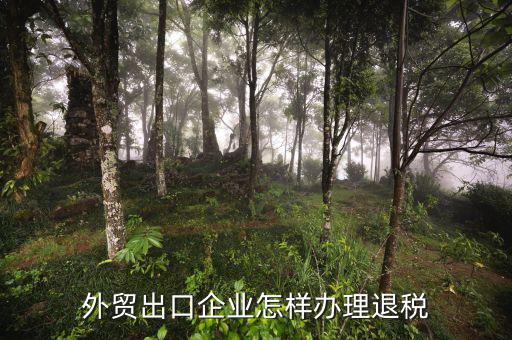 外貿(mào)公司如何退稅，外貿(mào)公司出口產(chǎn)品時怎么操作才可以退稅