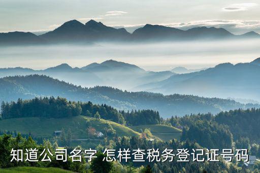 如何查稅務(wù)登記證國稅電腦編碼，三證合一后國稅編碼怎么查在線等急
