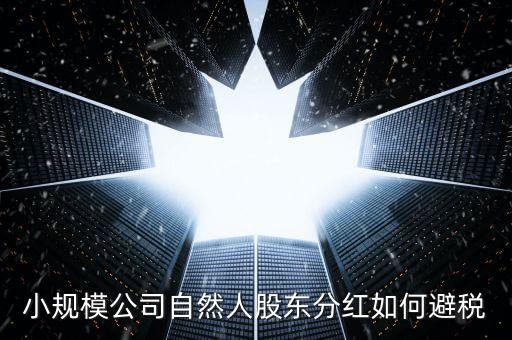 個人股東分紅如何避稅，小規(guī)模公司自然人股東分紅如何避稅