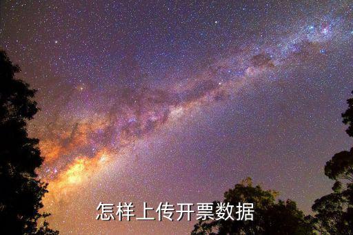 如何上傳進(jìn)項(xiàng)發(fā)票明細(xì)，怎樣上傳開票數(shù)據(jù)