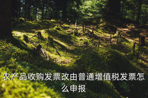農(nóng)產(chǎn)品收購發(fā)票如何申報(bào)，農(nóng)產(chǎn)品收購發(fā)票如何開