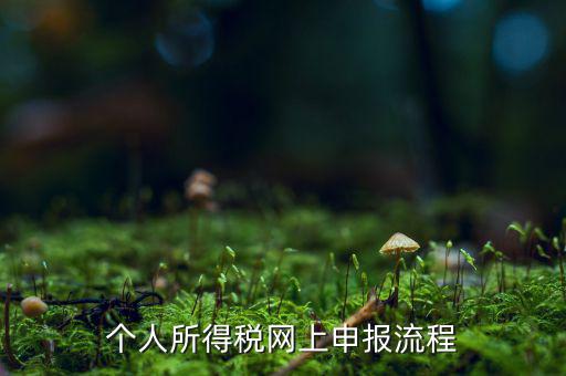 如何網(wǎng)上申請(qǐng)個(gè)稅，個(gè)人所得稅網(wǎng)上申報(bào)流程