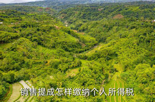 支付個(gè)人的銷(xiāo)售回扣如何征收個(gè)稅，付別人回扣5791462元 如何扣取個(gè)人所得稅請(qǐng)老師詳解在此感