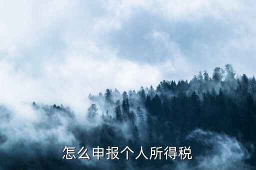 如何申報(bào)個(gè)人所得稅，怎么申報(bào)個(gè)人所得稅