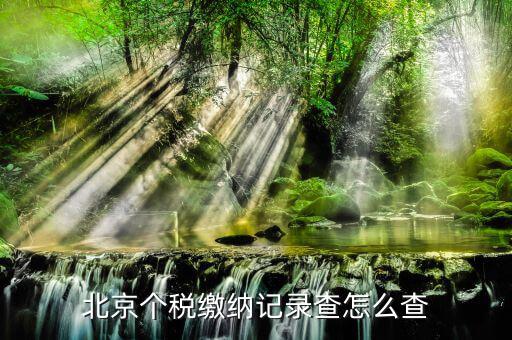 北京如何查詢個人繳稅記錄，北京個稅繳納記錄查怎么查