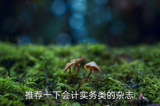納稅這個期刊如何，推薦一下會計實務(wù)類的雜志