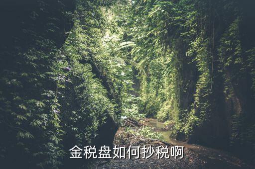 金稅盤如何抄報(bào)稅，金稅盤如何抄稅啊