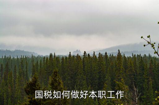 如何做好基層國稅工作，如何做好新形勢下的國稅工作