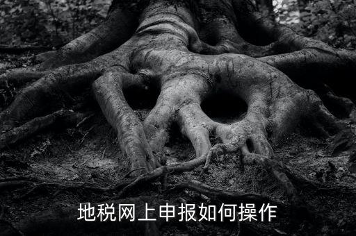 地稅網(wǎng)如何申報(bào)，地稅網(wǎng)上申報(bào)如何操作