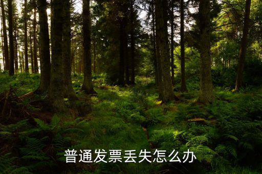 普票發(fā)票聯(lián)丟失如何入賬，企業(yè)開具的增值稅普通發(fā)票記賬聯(lián)丟失怎么處理