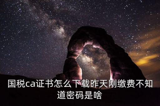 國(guó)稅ca證書(shū)怎么下載昨天剛繳費(fèi)不知道密碼是啥