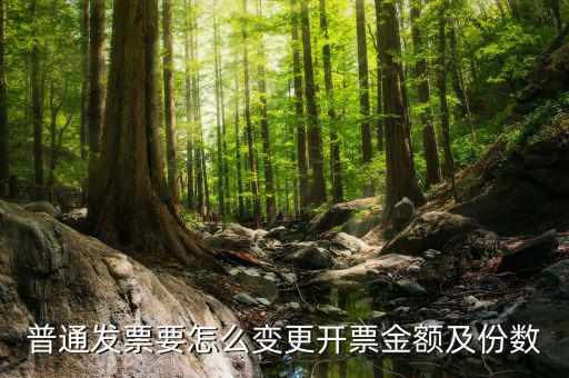 如何申請發(fā)票額度變更，普通發(fā)票要怎么變更開票金額及份數(shù)