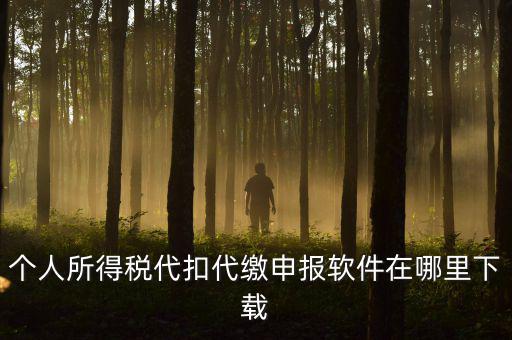 代扣代繳國稅如何申報系統(tǒng)下載，國稅增值稅小規(guī)模稅務(wù)電子申報軟件在哪里下載呢