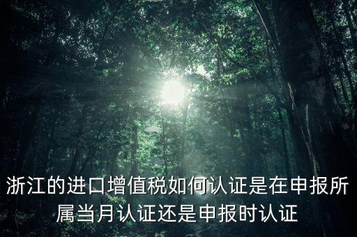 浙江國稅進口發(fā)票如何認證，浙江的進口增值稅如何認證是在申報所屬當月認證還是申報時認證
