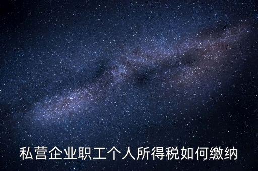 公司如何交個人所得稅，公司給員工發(fā)工資應該怎么繳納個稅啊比如