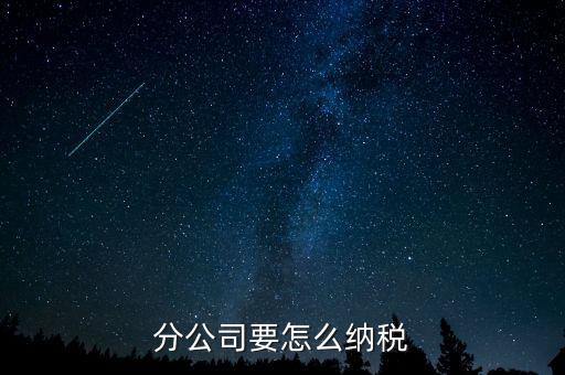 分支機(jī)構(gòu)如何納稅，分支機(jī)構(gòu)增值稅怎樣繳納