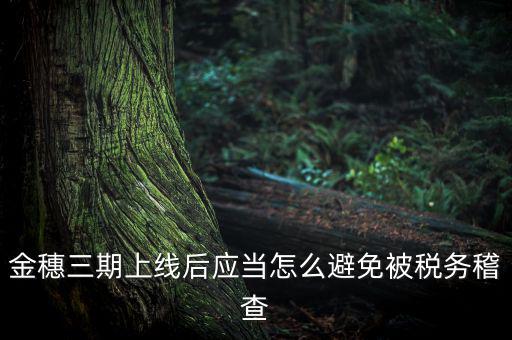 金稅三期如何防稽查，那如何預(yù)防稅局的稽查呢