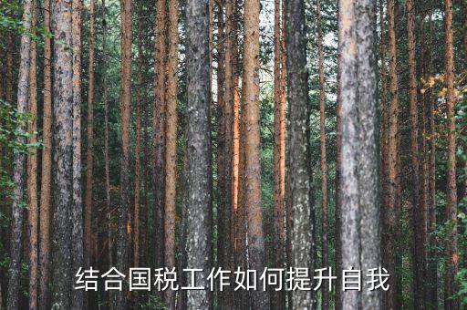 國稅工作總結如何出彩，2015年國稅貨勞科工作總結