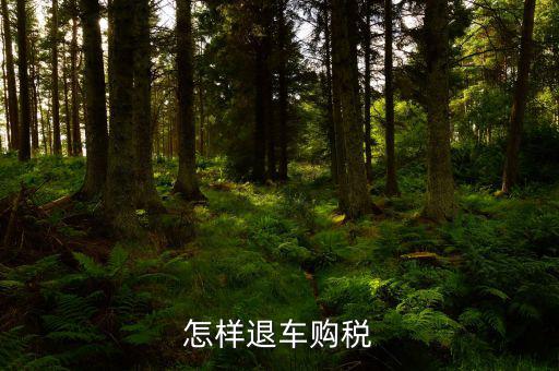 車輛購(gòu)置稅如何退稅，怎么退車輛購(gòu)置稅
