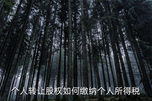 個人轉(zhuǎn)讓股權如何繳納個人所得稅