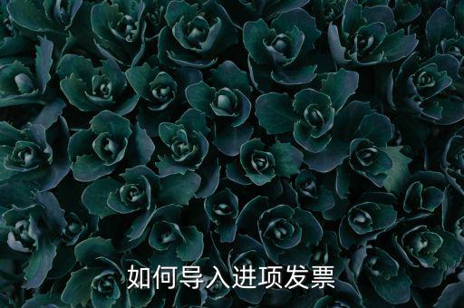 如何導(dǎo)入發(fā)票，如何導(dǎo)入進(jìn)項(xiàng)發(fā)票