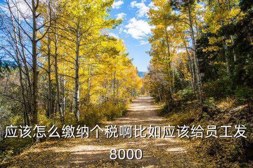 企業(yè)員工的個人所得稅如何繳納，應該怎么繳納個稅啊比如應該給員工發(fā)8000