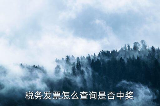 如何查地稅發(fā)票中獎，稅務發(fā)票怎么查詢是否中獎