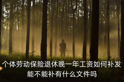 如何補(bǔ)發(fā)工資，個體勞動保險退休晚一年工資如何補(bǔ)發(fā)能不能補(bǔ)有什么文件嗎