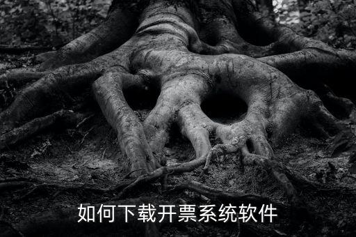 發(fā)票軟件如何下載軟件，怎么安裝稅控發(fā)票開票軟件v20