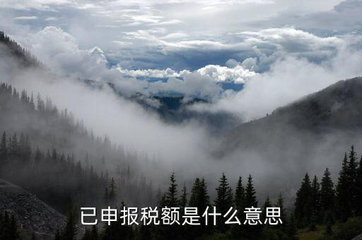 武漢稅務(wù)年報是什么意思，報告年度所得稅什么意思