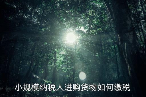 小規(guī)模納稅人如何交稅，小規(guī)模納稅人進(jìn)購貨物如何繳稅