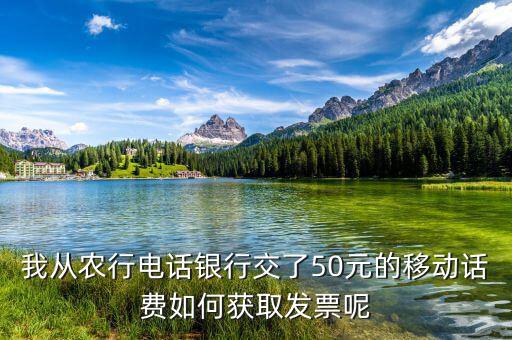 湖北移動(dòng)電子發(fā)票如何獲取，中國(guó)移動(dòng)手機(jī)帳單電子發(fā)票怎么樣下載