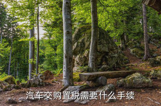 車輛購(gòu)置稅如何辦理，購(gòu)買車輛購(gòu)置稅需要哪些手續(xù)