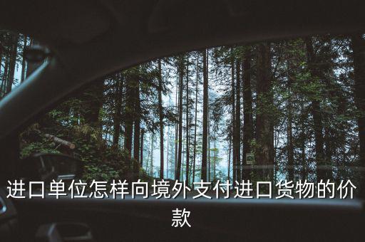 企業(yè)如何境外付款嗎，進(jìn)口單位怎樣向境外支付進(jìn)口貨物的價(jià)款