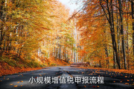 小規(guī)模納稅人 如何申報，小規(guī)模增值稅申報流程