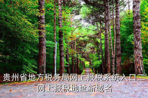 貴州地稅如何網(wǎng)上申報(bào)，貴州省地方稅務(wù)局網(wǎng)上報(bào)稅系統(tǒng)入口二網(wǎng)上報(bào)稅地址新域名